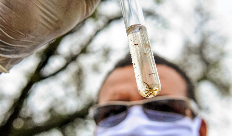 Farmacêuticos têm papel fundamental no combate às Doenças Tropicais e Negligenciadas