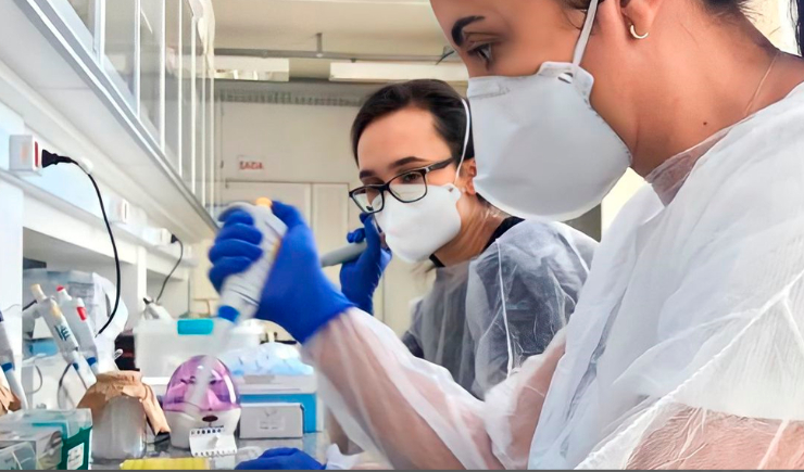 Chikungunya mata mais que a dengue no Ceará, revela estudo com participação de farmacêutica, publica
