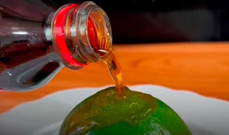 Não há comprovação de que semente do abacate e Coca-Cola façam efeito contra dores