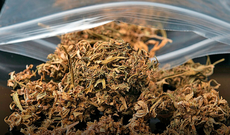 Farmacêuticos alertam: consumo e casos de intoxicações da droga K9 estão crescendo no País