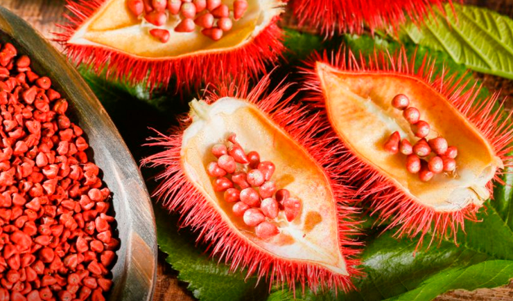 Farmacêutico do Amapá descobre solução à base de urucum que pode baratear exame Papanicolaou