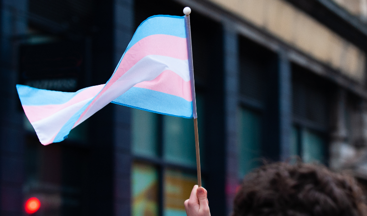 Janeiro Lilás é o mês da visibilidade trans