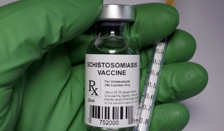 Farmacêuticos traçam perfil epidemiológico dos casos de esquistossomose no Brasil